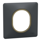 Ovalis - Plaque de finition - 1 poste Anthracite bague effet Laiton - S340702E