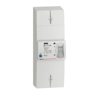 Disjoncteur de branchement Enedis bipolaire différentiel 500mA sélectif - 60A - 401006 - LEGRAND